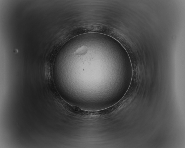 X0000095121058200712141131