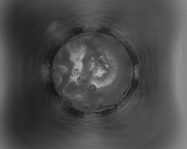 X0000095121059200712141131