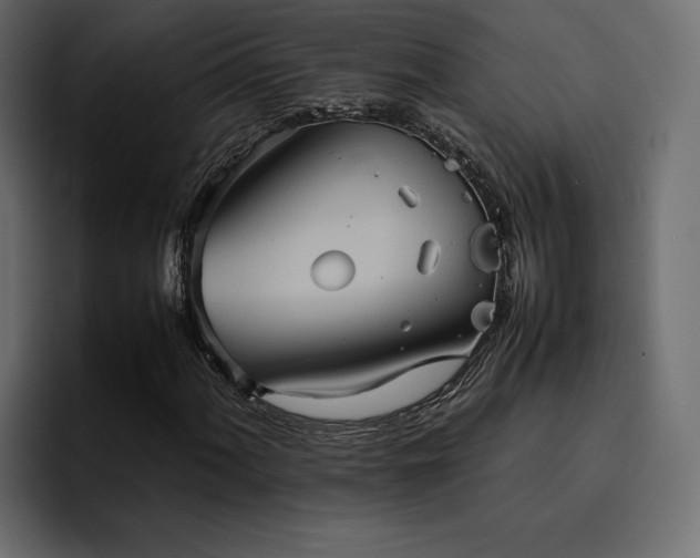 X0000095121060200712141131