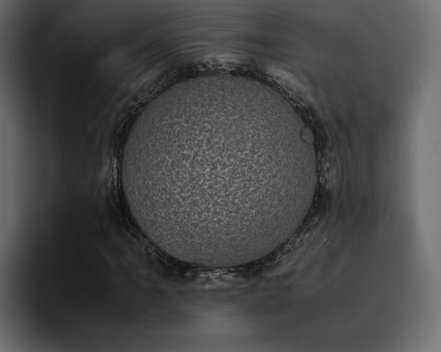 X0000095121061200712141131