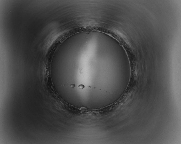 X0000095121063200712141131