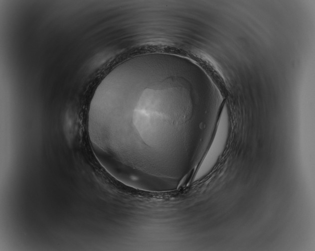 X0000095121064200712141131