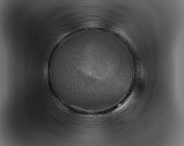 X0000095121065200712141131