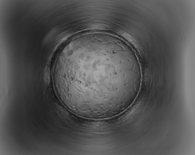 X0000095121067200712141131