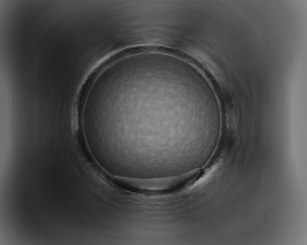 X0000095121069200712141131