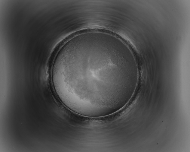 X0000095121070200712141131