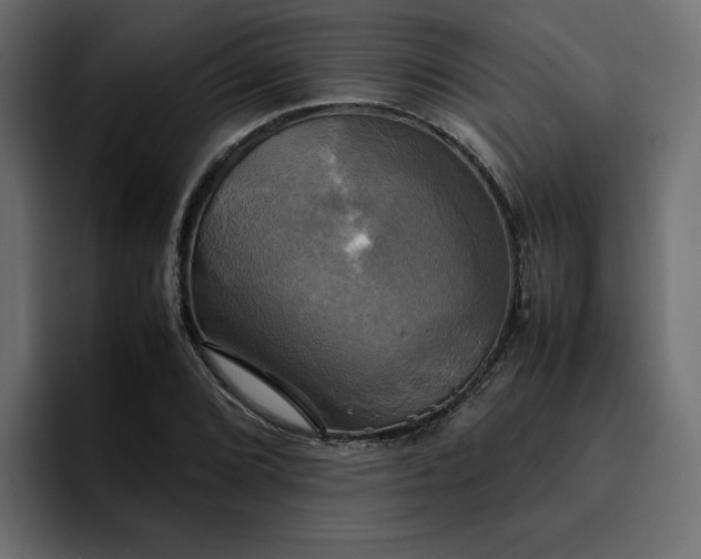 X0000095121072200712141131