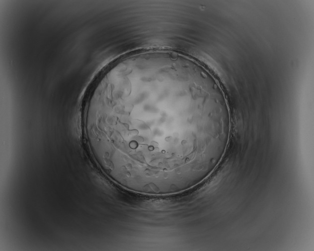 X0000095121075200712141131