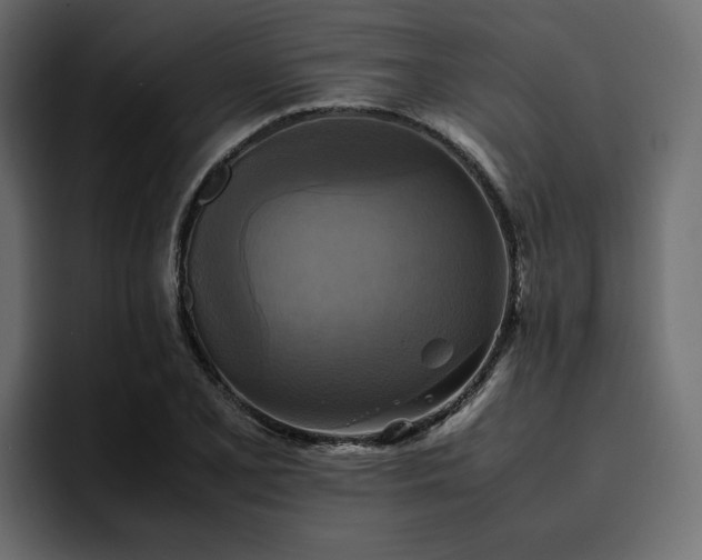 X0000095121077200712141131