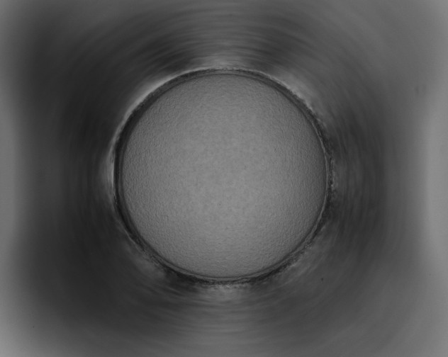 X0000095121078200712141131