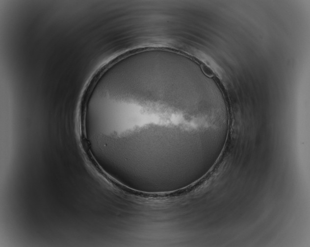 X0000095121080200712141131