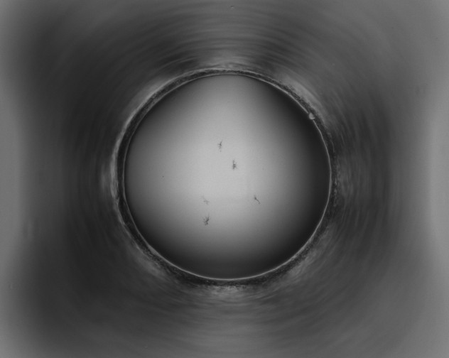 X0000095121082200712141131