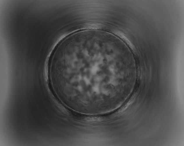 X0000095121083200712141131