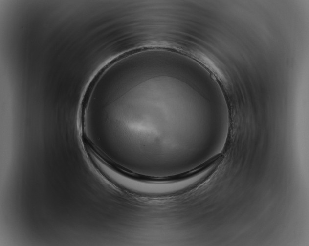 X0000095121084200712141131