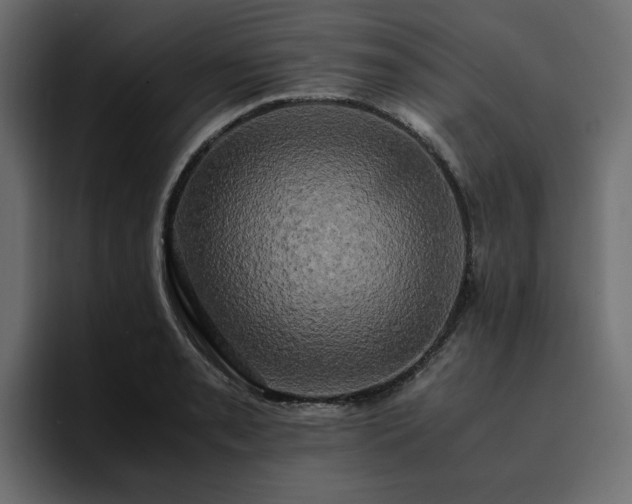 X0000095121085200712141131