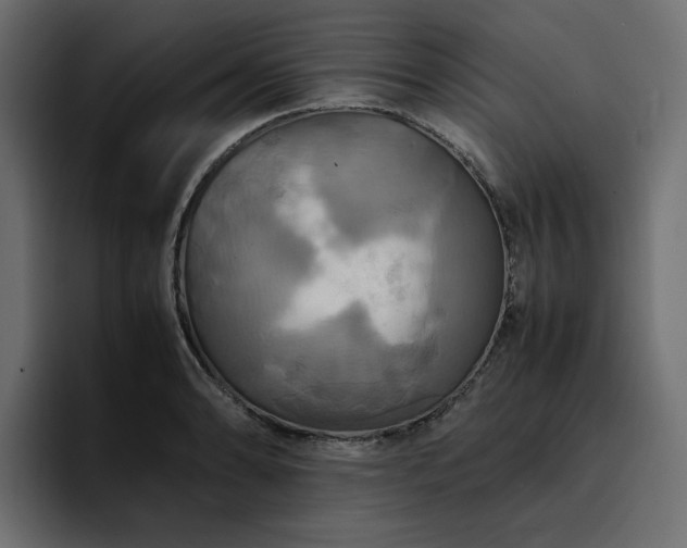 X0000095121086200712141131