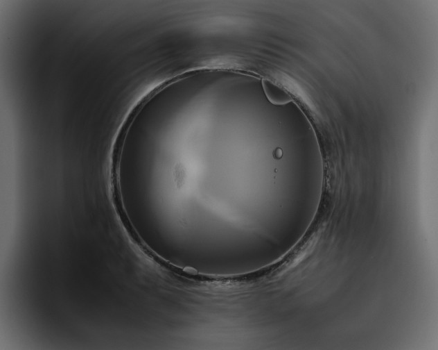 X0000095121087200712141131