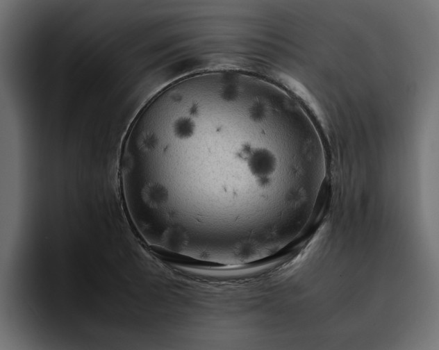 X0000095121089200712141131