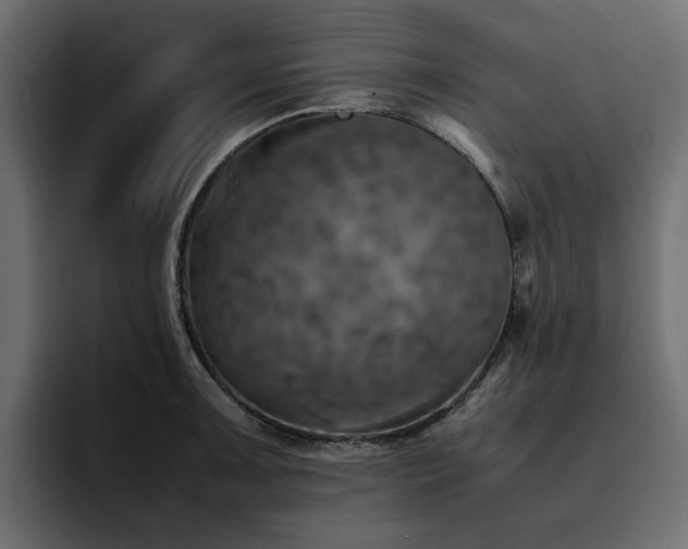 X0000095121091200712141131