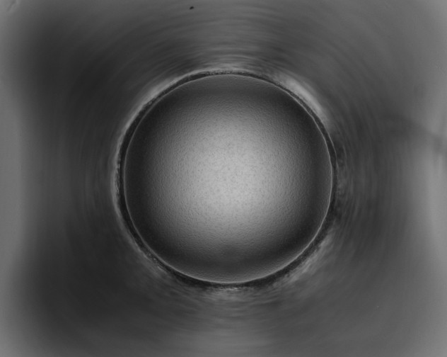 X0000095121093200712141131