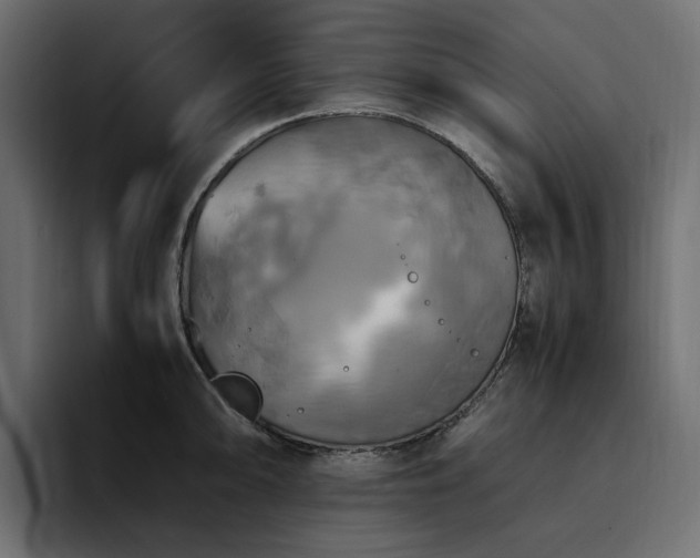 X0000095121094200712141131