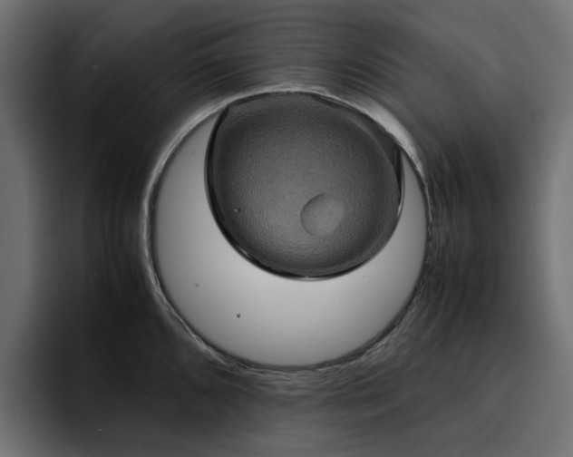 X0000095121096200712141131