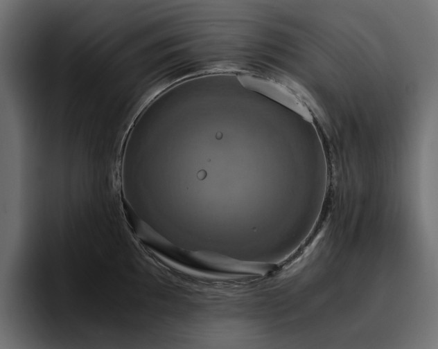 X0000095121097200712141131