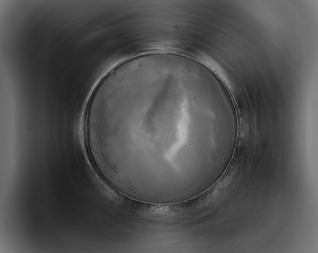 X0000095121098200712141131