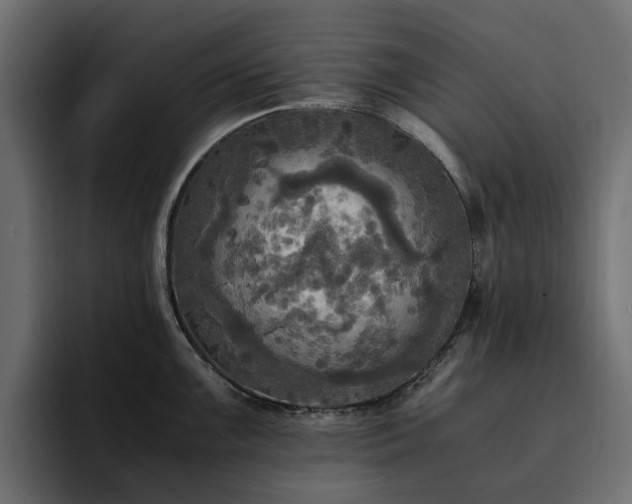 X0000095121099200712141131