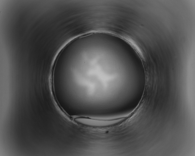 X0000095121100200712141131