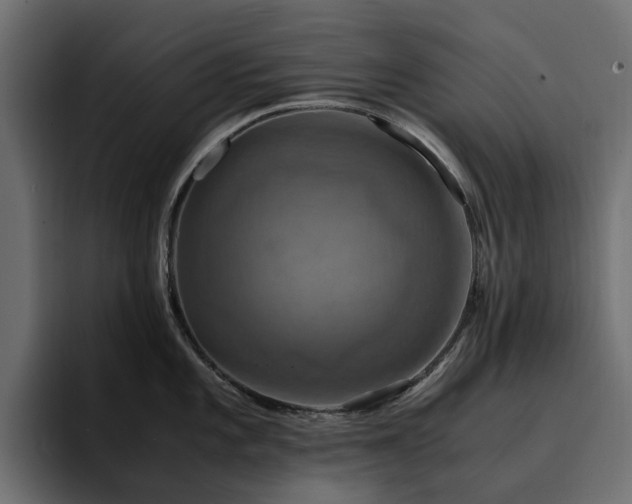 X0000095121101200712141131