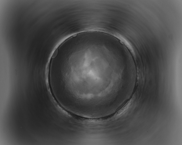 X0000095121102200712141131