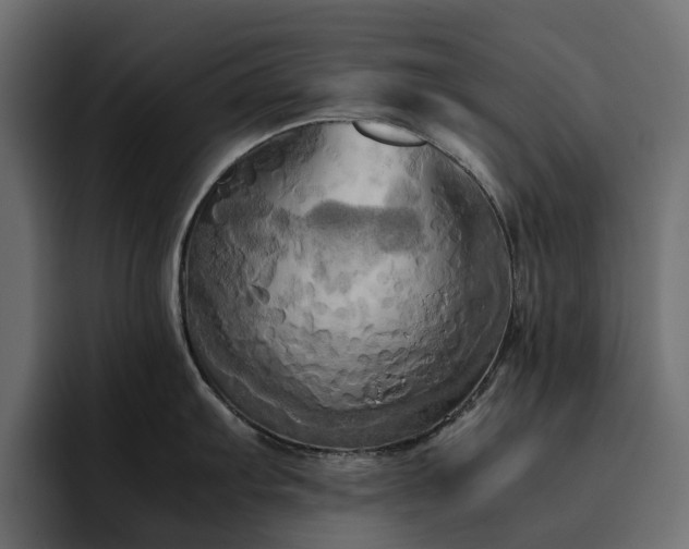 X0000095121103200712141131