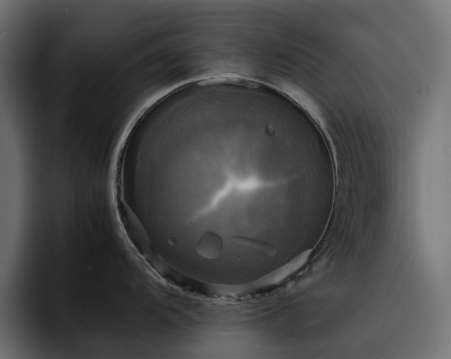 X0000095121104200712141131