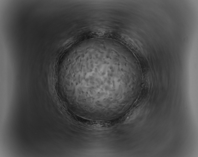 X0000095121105200712141130