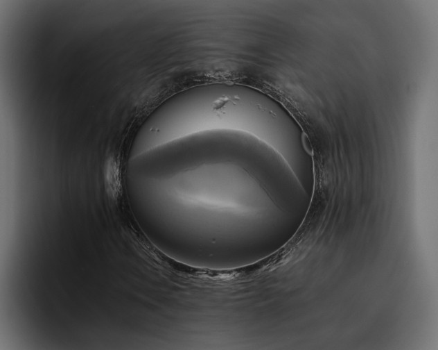 X0000095121106200712141130