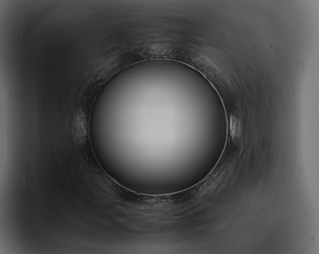 X0000095121107200712141130