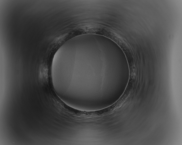 X0000095121108200712141130