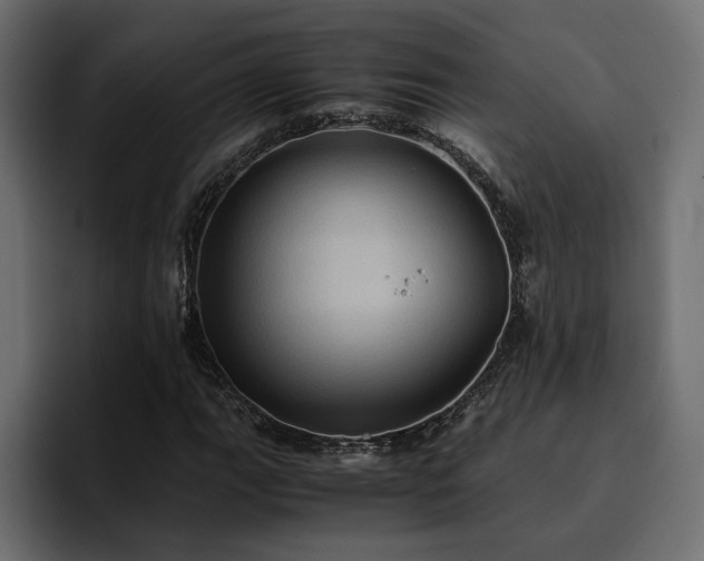 X0000095121111200712141130