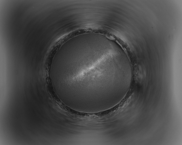 X0000095121112200712141130