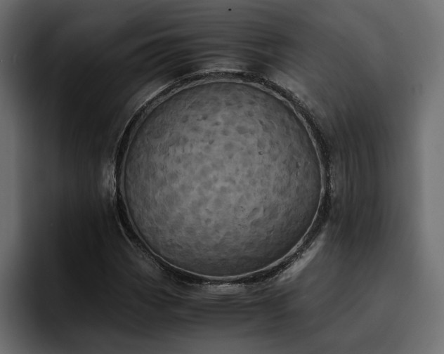 X0000095121113200712141130