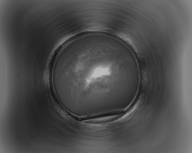 X0000095121114200712141130