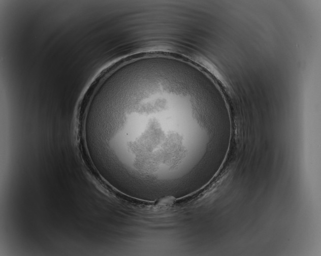 X0000095121116200712141130