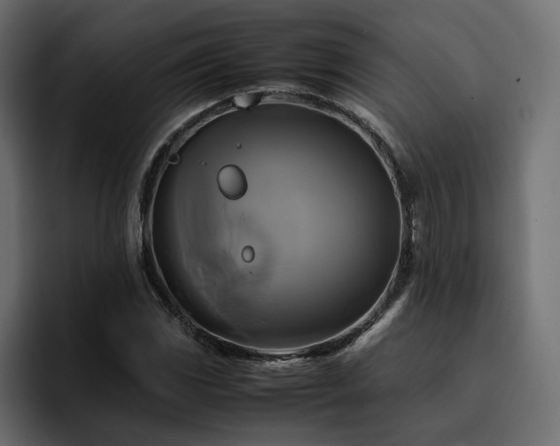 X0000095121117200712141130