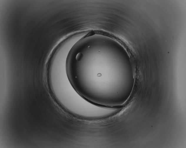 X0000095121118200712141130