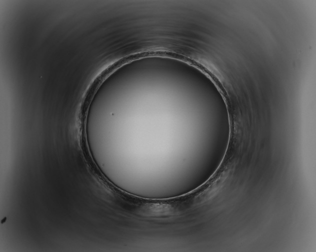 X0000095121119200712141130