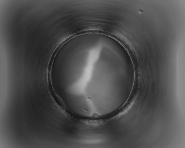 X0000095121121200712141130