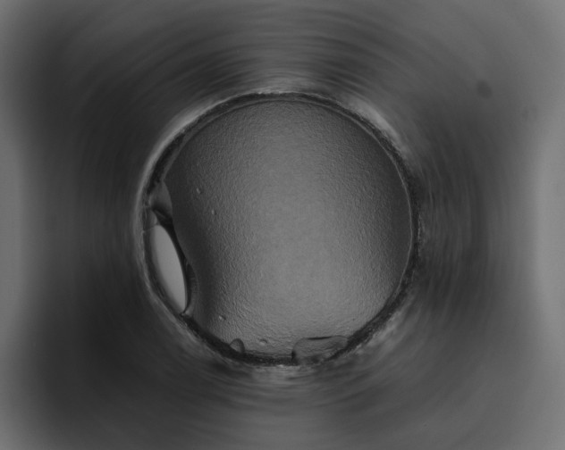 X0000095121122200712141130