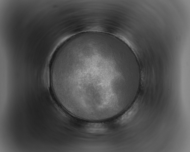 X0000095121123200712141130