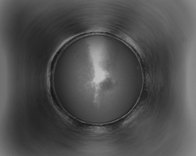 X0000095121124200712141130